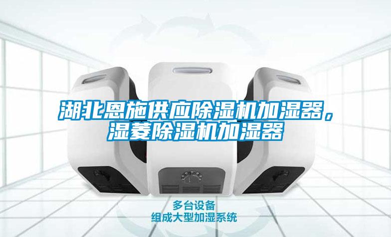 湖北恩施供應除濕機加濕器，濕菱除濕機加濕器