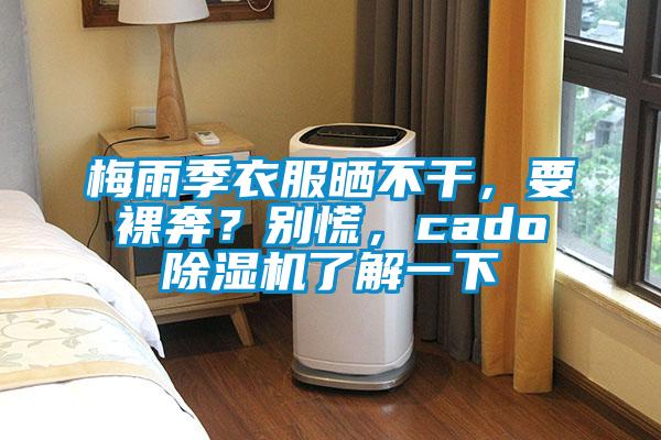 梅雨季衣服曬不干，要裸奔？別慌，cado除濕機了解一下