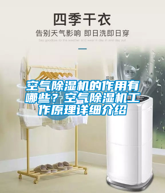 空氣除濕機的作用有哪些？空氣除濕機工作原理詳細介紹