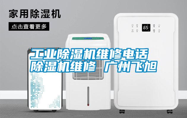 工業(yè)除濕機(jī)維修電話 除濕機(jī)維修 廣州飛旭