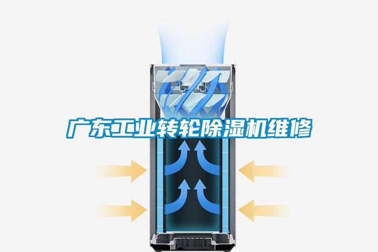 廣東工業轉輪除濕機維修