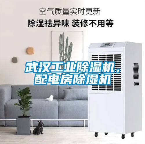 武漢工業除濕機，配電房除濕機