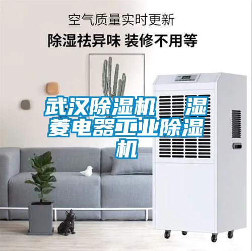 武漢除濕機  濕菱電器工業除濕機