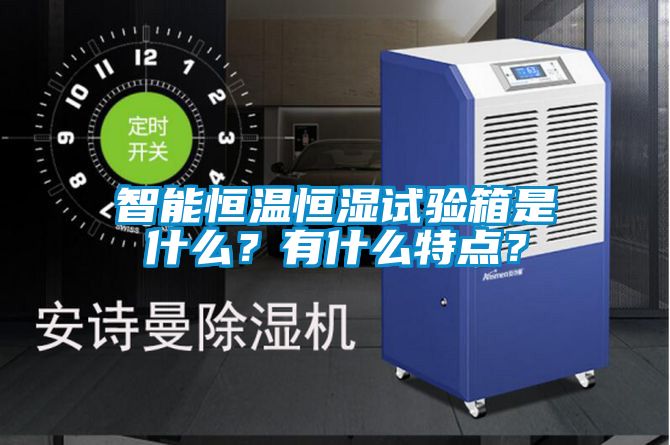 智能恒溫恒濕試驗箱是什么？有什么特點？