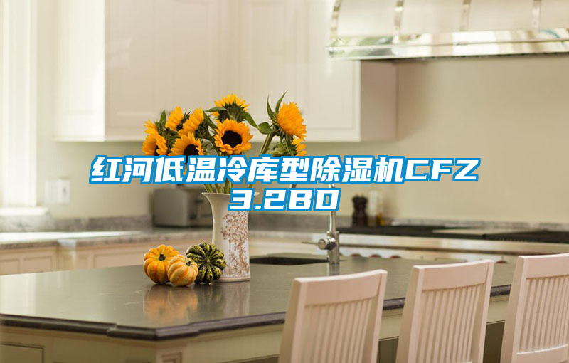 紅河低溫冷庫型除濕機CFZ3.2BD