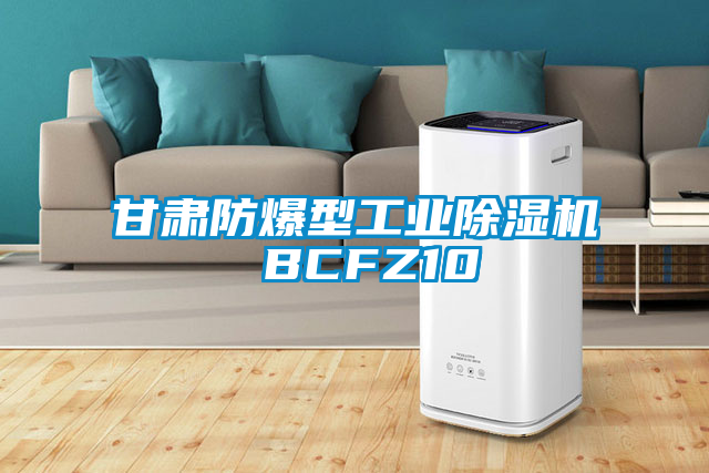 甘肅防爆型工業除濕機 BCFZ10