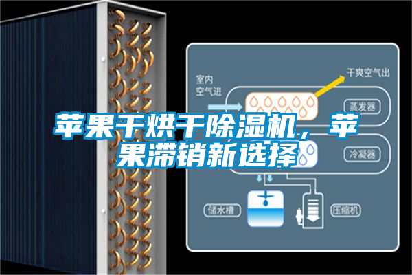 蘋果干烘干除濕機，蘋果滯銷新選擇