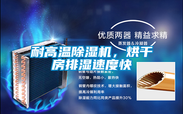 耐高溫除濕機(jī)，烘干房排濕速度快