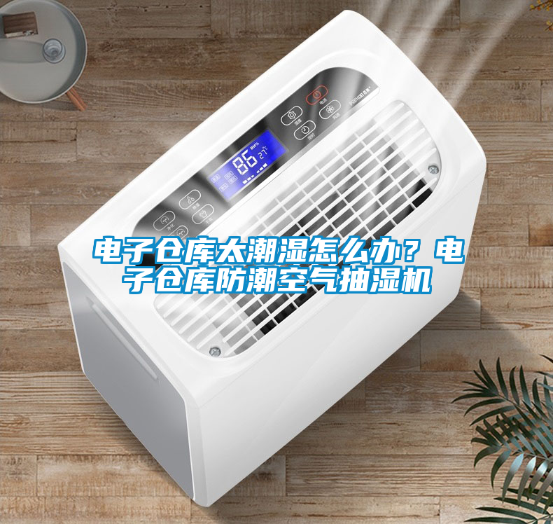 電子倉庫太潮濕怎么辦？電子倉庫防潮空氣抽濕機(jī)