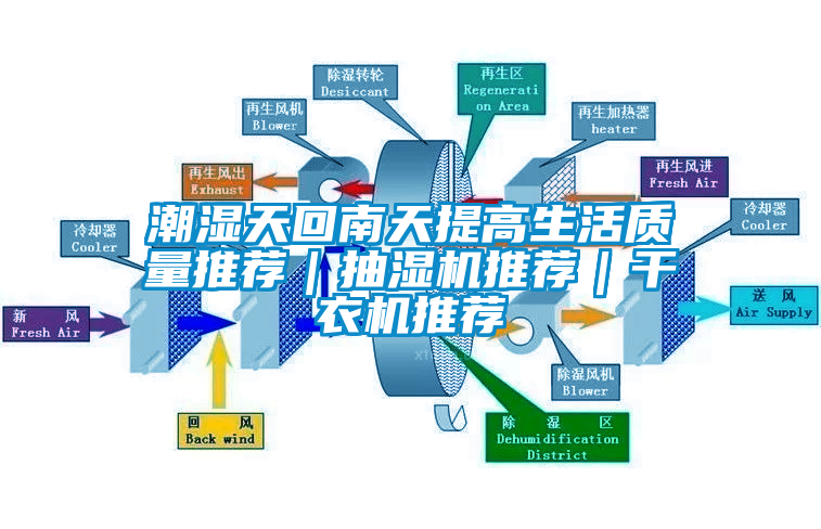 潮濕天回南天提高生活質量推薦｜抽濕機推薦｜干衣機推薦