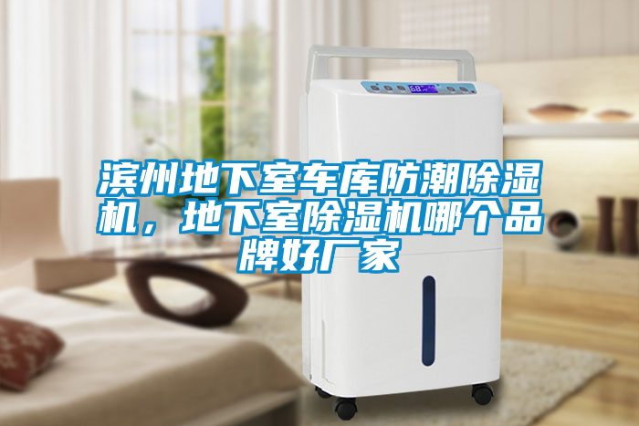 濱州地下室車庫防潮除濕機，地下室除濕機哪個品牌好廠家