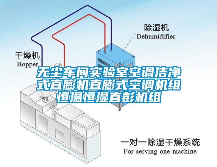 無塵車間實驗室空調潔凈式直膨機直膨式空調機組恒溫恒濕直彭機組