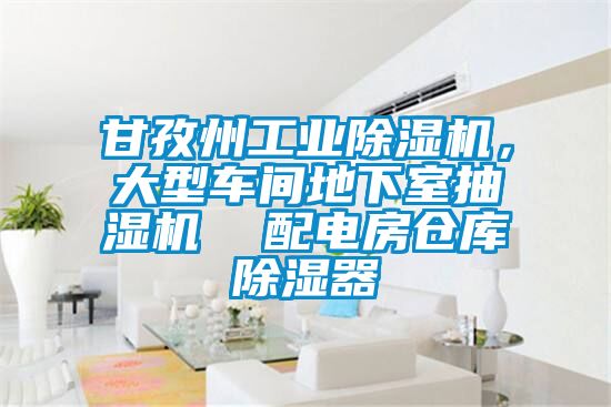 甘孜州工業(yè)除濕機(jī)，大型車間地下室抽濕機(jī)  配電房倉庫除濕器