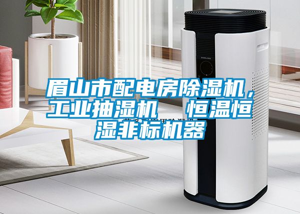 眉山市配電房除濕機，工業抽濕機  恒溫恒濕非標機器