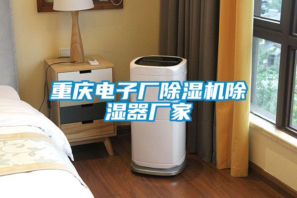 重慶電子廠除濕機(jī)除濕器廠家