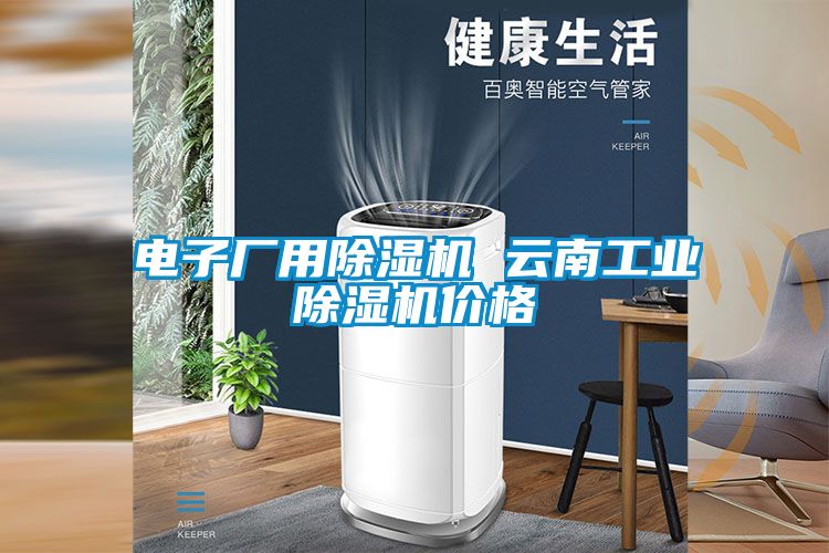 電子廠用除濕機 云南工業除濕機價格