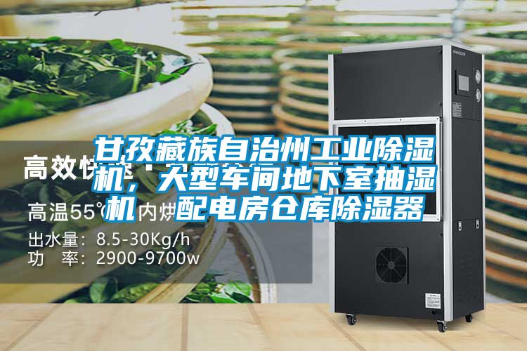 甘孜藏族自治州工業(yè)除濕機(jī)，大型車間地下室抽濕機(jī)  配電房倉(cāng)庫除濕器