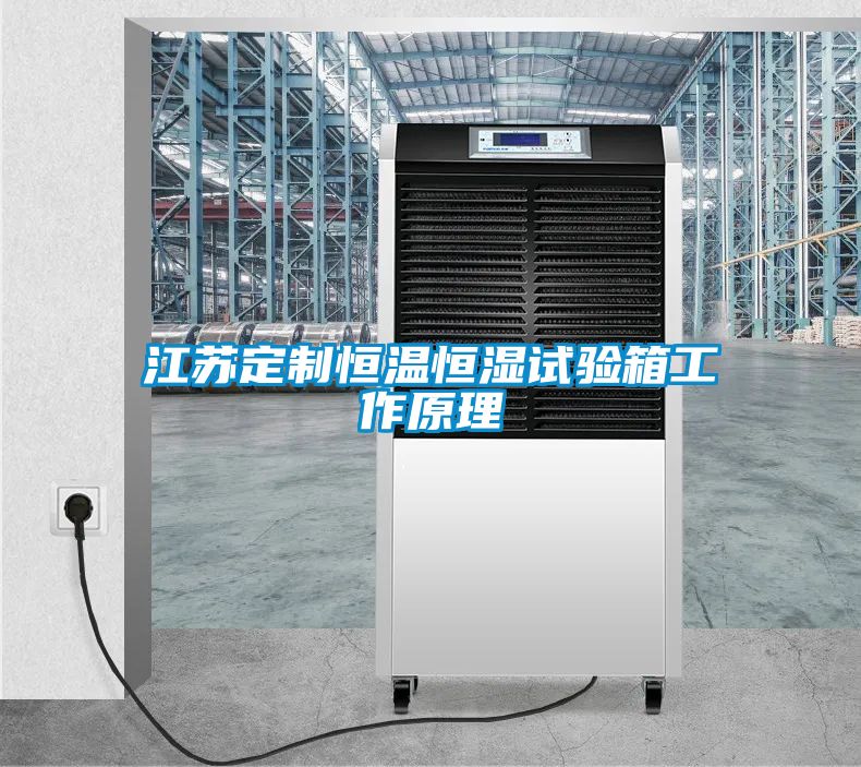 江蘇定制恒溫恒濕試驗(yàn)箱工作原理