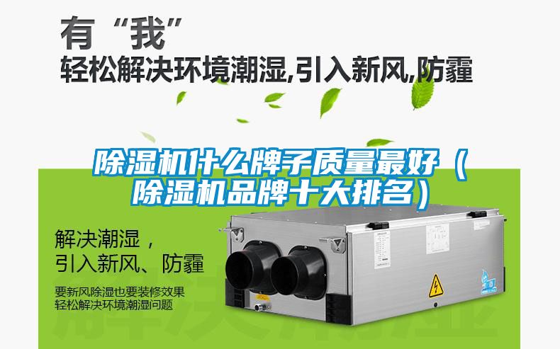 除濕機什么牌子質量最好（除濕機品牌十大排名）