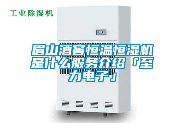 眉山酒窖恒溫恒濕機是什么服務(wù)介紹「至力電子」