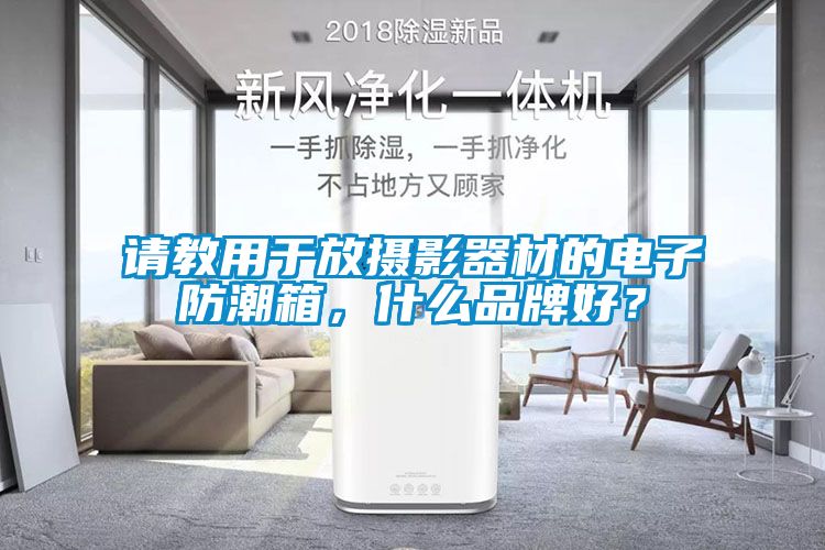 請教用于放攝影器材的電子防潮箱，什么品牌好？