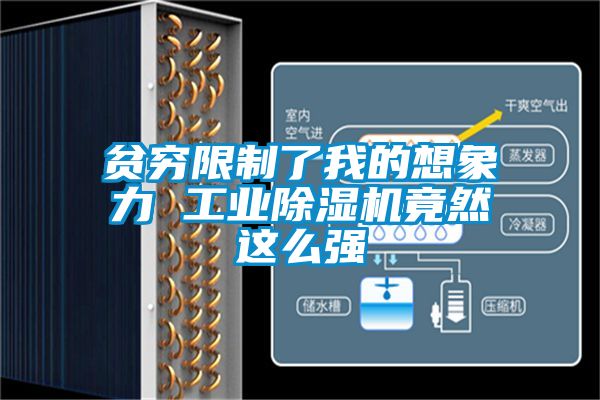 貧窮限制了我的想象力 工業除濕機竟然這么強