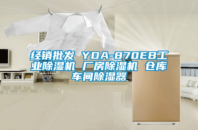 經銷批發 YDA-870EB工業除濕機 廠房除濕機 倉庫車間除濕器