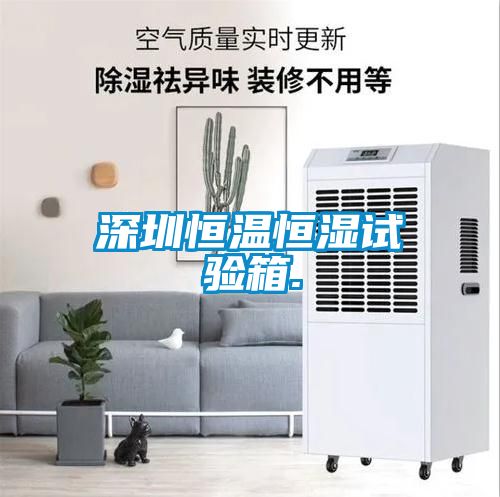 深圳恒溫恒濕試驗(yàn)箱.