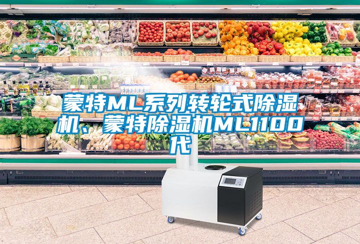 蒙特ML系列轉輪式除濕機、蒙特除濕機ML1100代