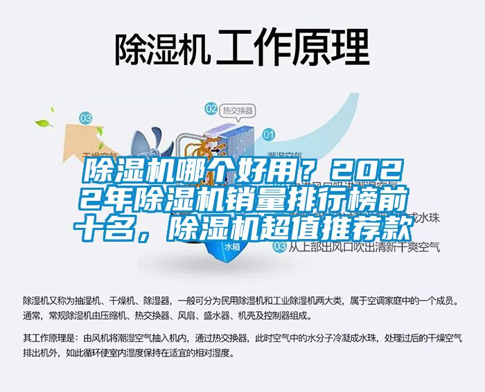 除濕機哪個好用？2022年除濕機銷量排行榜前十名，除濕機超值推薦款