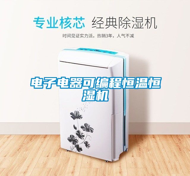 電子電器可編程恒溫恒濕機