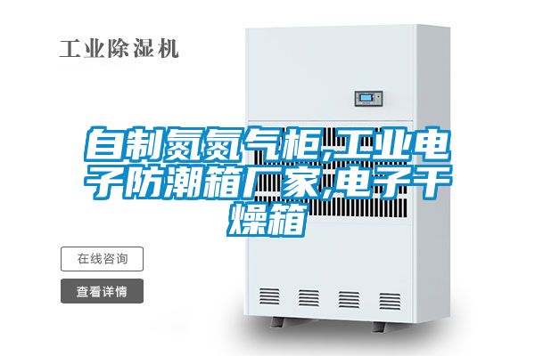 自制氮氮氣柜,工業電子防潮箱廠家,電子干燥箱