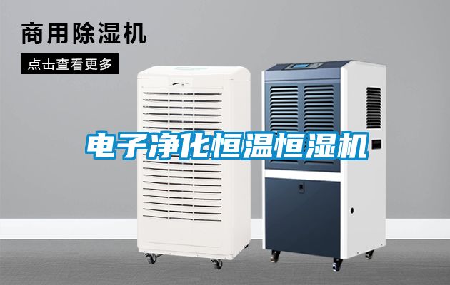 電子凈化恒溫恒濕機