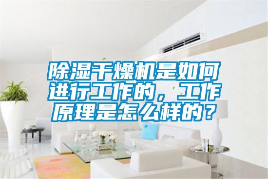 除濕干燥機(jī)是如何進(jìn)行工作的，工作原理是怎么樣的？