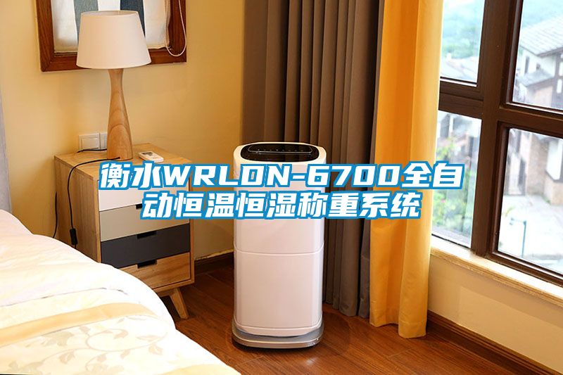 衡水WRLDN-6700全自動恒溫恒濕稱重系統