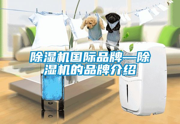 除濕機(jī)國際品牌—除濕機(jī)的品牌介紹