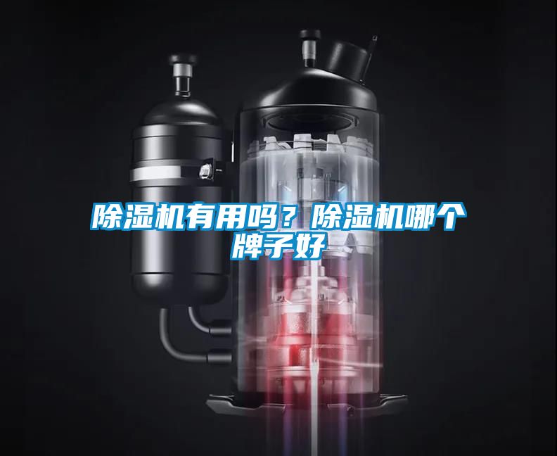 除濕機有用嗎？除濕機哪個牌子好