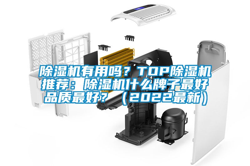 除濕機有用嗎？TOP除濕機推薦：除濕機什么牌子最好品質最好？（2022最新）