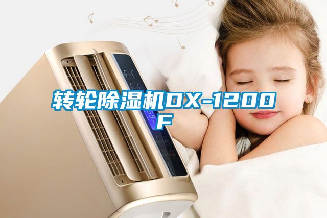 轉輪除濕機DX-1200F