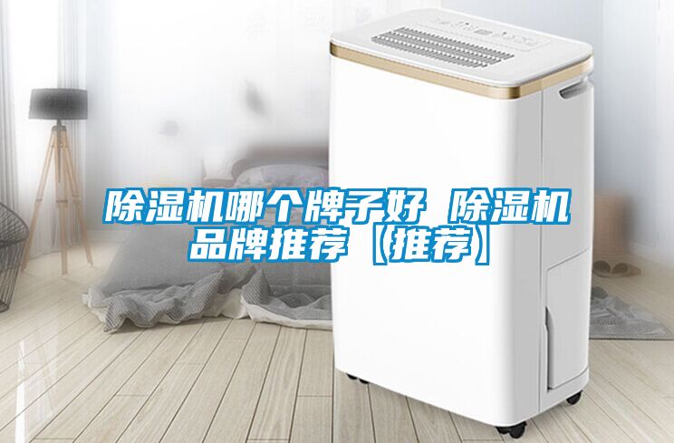 除濕機哪個牌子好 除濕機品牌推薦【推薦】