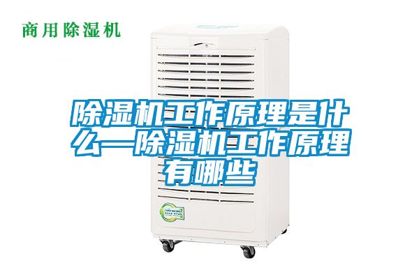 除濕機工作原理是什么—除濕機工作原理有哪些