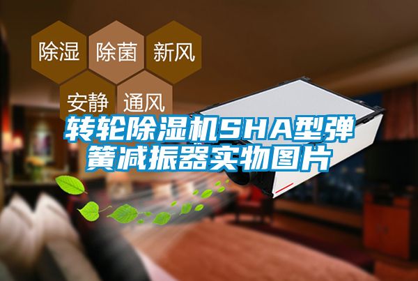 轉輪除濕機SHA型彈簧減振器實物圖片