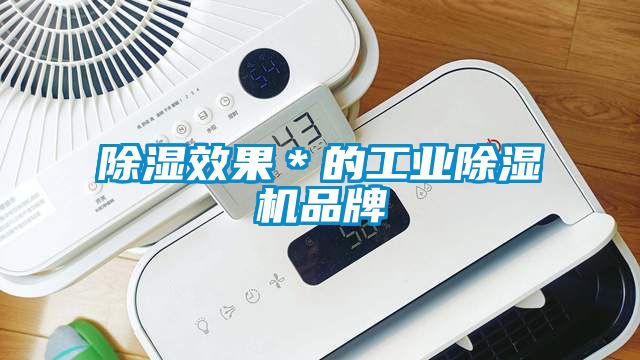 除濕效果＊的工業除濕機品牌