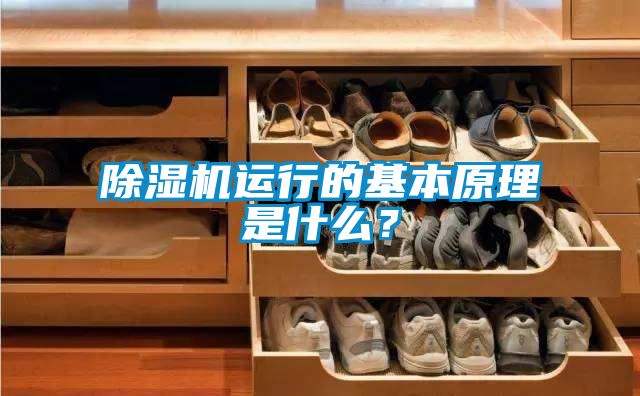 除濕機運行的基本原理是什么？