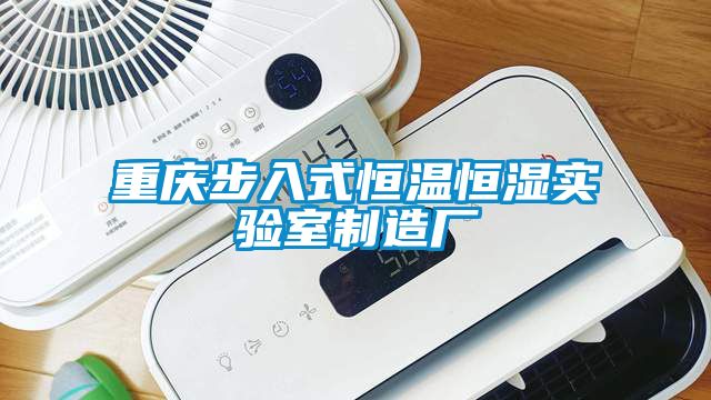 重慶步入式恒溫恒濕實驗室制造廠