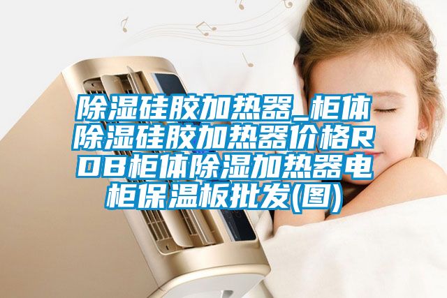 除濕硅膠加熱器_柜體除濕硅膠加熱器價格RDB柜體除濕加熱器電柜保溫板批發(圖)