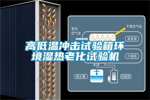高低溫沖擊試驗箱環(huán)境濕熱老化試驗機